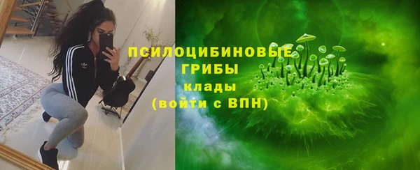 jwh Белокуриха