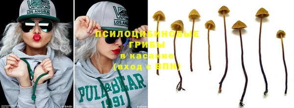 jwh Белокуриха