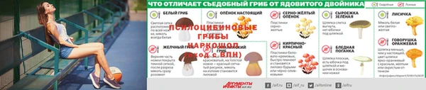 jwh Белокуриха