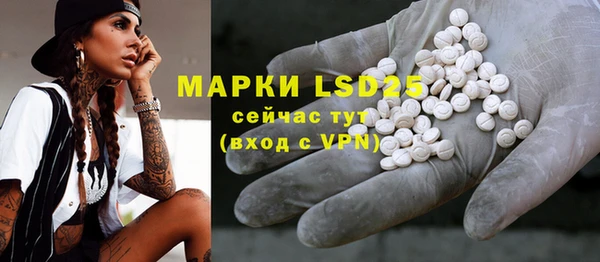молекула духа Магадан