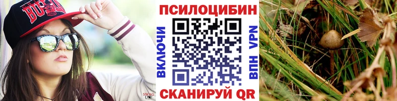 Псилоцибиновые грибы мицелий  где найти наркотики  мориарти состав  Бикин 